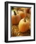 Pumpkins on Bale of Hay-David Papazian-Framed Photographic Print