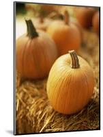 Pumpkins on Bale of Hay-David Papazian-Mounted Photographic Print