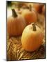 Pumpkins on Bale of Hay-David Papazian-Mounted Photographic Print