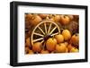 Pumpkins on Display-Darrell Gulin-Framed Photographic Print