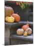 Pumpkins on Stairs-Alena Hrbkova-Mounted Photographic Print