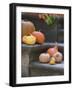 Pumpkins on Stairs-Alena Hrbkova-Framed Photographic Print