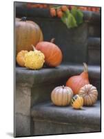 Pumpkins on Stairs-Alena Hrbkova-Mounted Photographic Print