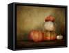 Pumpkins Still Life-Jai Johnson-Framed Stretched Canvas