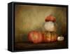 Pumpkins Still Life-Jai Johnson-Framed Stretched Canvas
