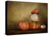 Pumpkins Still Life-Jai Johnson-Stretched Canvas