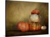 Pumpkins Still Life-Jai Johnson-Stretched Canvas