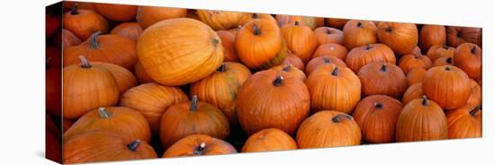 Pumpkins-null-Stretched Canvas