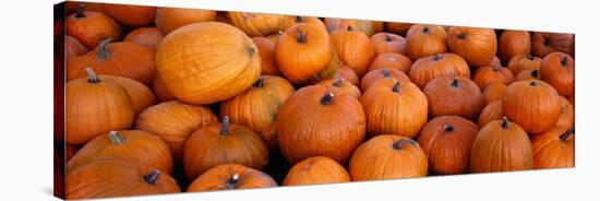 Pumpkins-null-Stretched Canvas