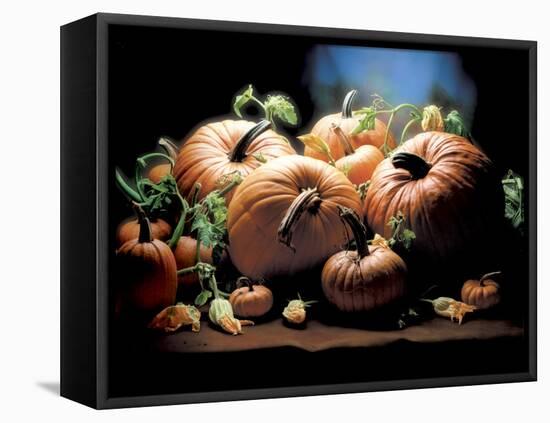 Pumpkins-ATU Studios-Framed Stretched Canvas