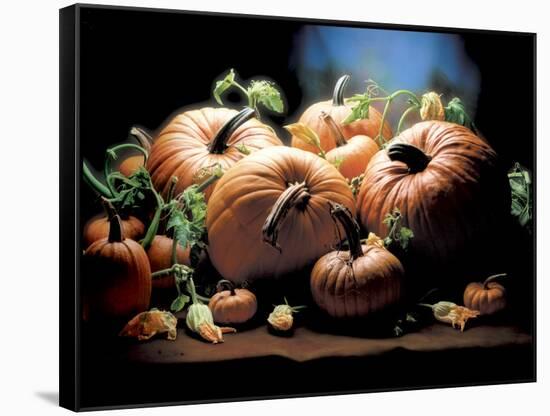 Pumpkins-ATU Studios-Framed Stretched Canvas