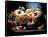 Pumpkins-ATU Studios-Framed Stretched Canvas