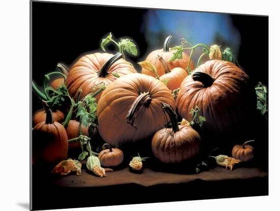 Pumpkins-ATU Studios-Mounted Photographic Print