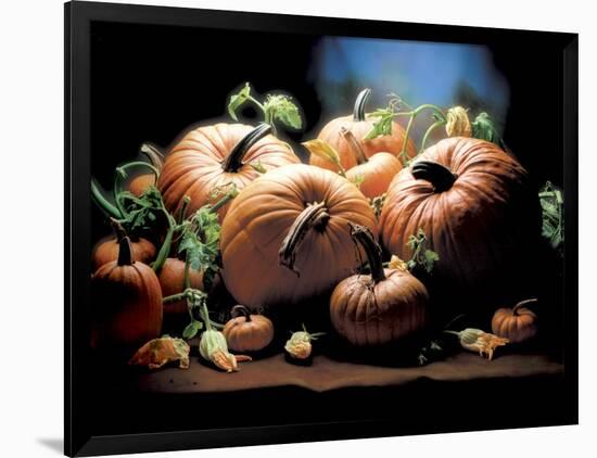 Pumpkins-ATU Studios-Framed Photographic Print