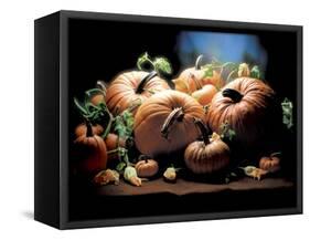 Pumpkins-ATU Studios-Framed Stretched Canvas