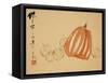 Pumpkins-Xu Gu-Framed Stretched Canvas