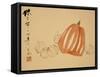 Pumpkins-Xu Gu-Framed Stretched Canvas