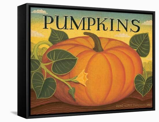 Pumpkins-Diane Pedersen-Framed Stretched Canvas