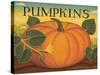 Pumpkins-Diane Pedersen-Stretched Canvas