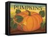 Pumpkins-Diane Pedersen-Framed Stretched Canvas