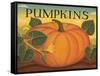 Pumpkins-Diane Pedersen-Framed Stretched Canvas