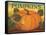 Pumpkins-Diane Pedersen-Framed Stretched Canvas