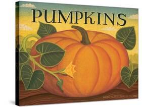 Pumpkins-Diane Pedersen-Stretched Canvas