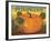 Pumpkins-Diane Pedersen-Framed Art Print