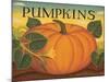 Pumpkins-Diane Pedersen-Mounted Art Print