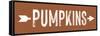 Pumpkins-lettered & lined-Framed Stretched Canvas