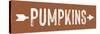 Pumpkins-lettered & lined-Stretched Canvas