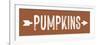 Pumpkins-lettered & lined-Framed Art Print