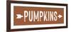 Pumpkins-lettered & lined-Framed Art Print