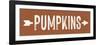 Pumpkins-lettered & lined-Framed Art Print