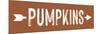 Pumpkins-lettered & lined-Mounted Art Print