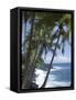 Puna (Black Sand) Beach, Island of Hawaii (Big Island), Hawaii, USA-Ethel Davies-Framed Stretched Canvas