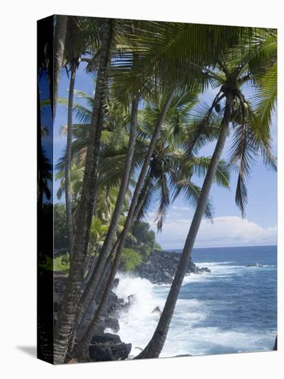 Puna (Black Sand) Beach, Island of Hawaii (Big Island), Hawaii, USA-Ethel Davies-Stretched Canvas