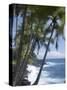 Puna (Black Sand) Beach, Island of Hawaii (Big Island), Hawaii, USA-Ethel Davies-Stretched Canvas