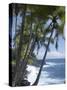 Puna (Black Sand) Beach, Island of Hawaii (Big Island), Hawaii, USA-Ethel Davies-Stretched Canvas