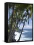 Puna (Black Sand) Beach, Island of Hawaii (Big Island), Hawaii, USA-Ethel Davies-Framed Stretched Canvas