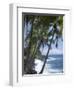 Puna (Black Sand) Beach, Island of Hawaii (Big Island), Hawaii, USA-Ethel Davies-Framed Photographic Print