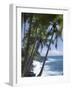 Puna (Black Sand) Beach, Island of Hawaii (Big Island), Hawaii, USA-Ethel Davies-Framed Photographic Print