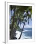 Puna (Black Sand) Beach, Island of Hawaii (Big Island), Hawaii, USA-Ethel Davies-Framed Photographic Print