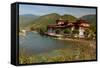 Punakha Dzong (Palace of Great Happiness), Bhutan-Renee Vititoe-Framed Stretched Canvas