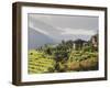 Punakha, Himalayas, Bhutan-Angelo Cavalli-Framed Photographic Print