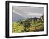 Punakha, Himalayas, Bhutan-Angelo Cavalli-Framed Photographic Print