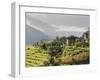 Punakha, Himalayas, Bhutan-Angelo Cavalli-Framed Photographic Print