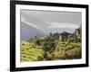 Punakha, Himalayas, Bhutan-Angelo Cavalli-Framed Photographic Print