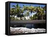 Punalu'U, Hawaii: the Punalu'U Black Sand Beach-Ian Shive-Framed Stretched Canvas