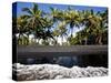Punalu'U, Hawaii: the Punalu'U Black Sand Beach-Ian Shive-Stretched Canvas
